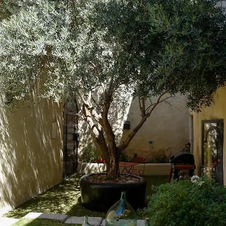La Paloma
